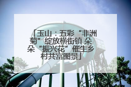 玉山：五彩“非洲菊”绽放横街镇 朵朵“振兴花”催生乡村共富图景