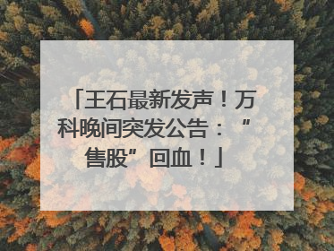 王石最新发声！万科晚间突发公告：“售股”回血！
