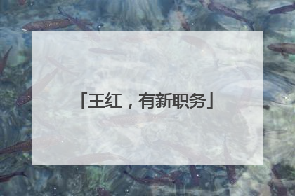 王红，有新职务