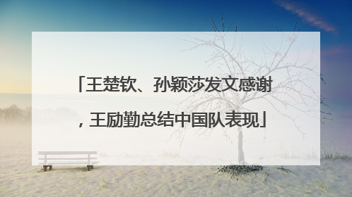王楚钦、孙颖莎发文感谢，王励勤总结中国队表现