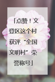 点赞！文登区这个村获评“全国文明村”荣誉称号
