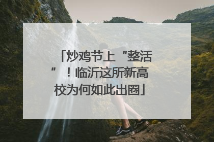 炒鸡节上“整活”！临沂这所新高校为何如此出圈