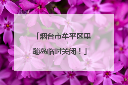 烟台市牟平区里蹦岛临时关闭！