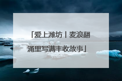 爱上潍坊丨麦浪翻涌里写满丰收故事