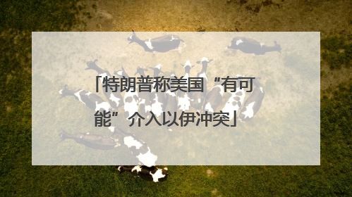 特朗普称美国“有可能”介入以伊冲突