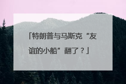 特朗普与马斯克“友谊的小船”翻了？