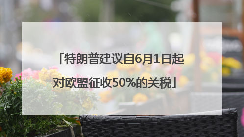 特朗普建议自6月1日起对欧盟征收50%的关税