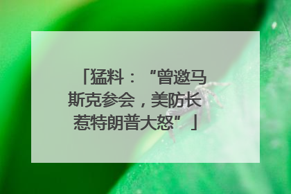 猛料：“曾邀马斯克参会，美防长惹特朗普大怒”