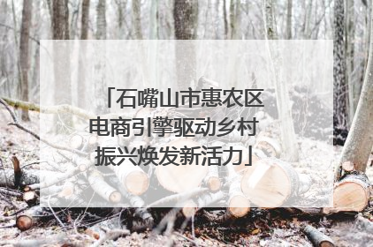 石嘴山市惠农区电商引擎驱动乡村振兴焕发新活力