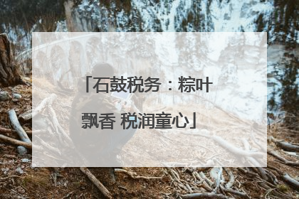 石鼓税务：粽叶飘香 税润童心