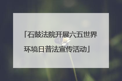 石鼓法院开展六五世界环境日普法宣传活动
