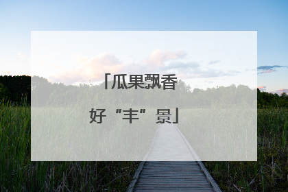 瓜果飘香 好“丰”景