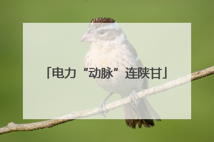 电力“动脉”连陕甘