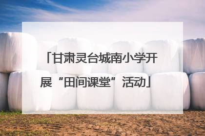 甘肃灵台城南小学开展“田间课堂”活动