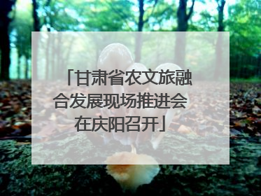 甘肃省农文旅融合发展现场推进会在庆阳召开