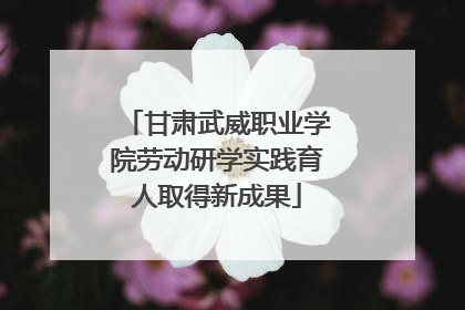 甘肃武威职业学院劳动研学实践育人取得新成果