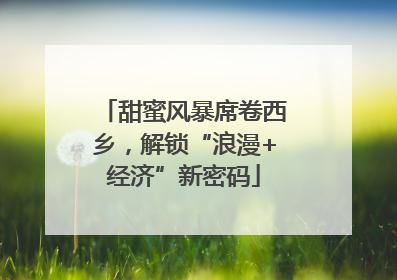 甜蜜风暴席卷西乡，解锁“浪漫+经济”新密码