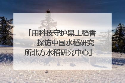 用科技守护黑土稻香——探访中国水稻研究所北方水稻研究中心