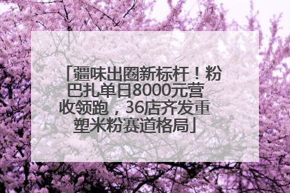 疆味出圈新标杆！粉巴扎单日8000元营收领跑，36店齐发重塑米粉赛道格局