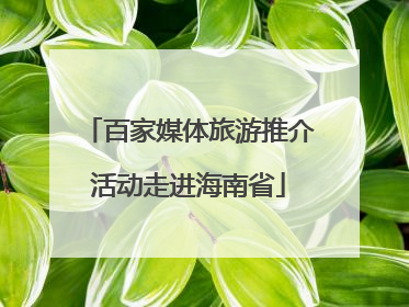百家媒体旅游推介活动走进海南省