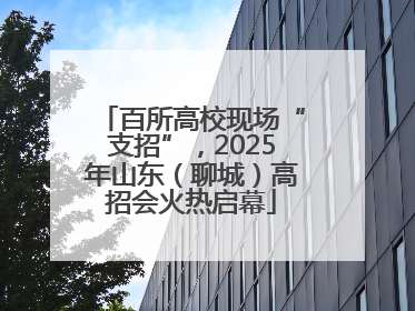 百所高校现场“支招”，2025年山东（聊城）高招会火热启幕