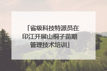 省级科技特派员在印江开展山桐子苗期管理技术培训