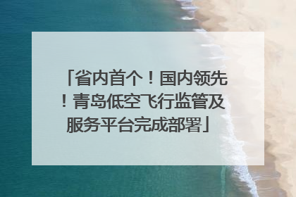 省内首个！国内领先！青岛低空飞行监管及服务平台完成部署