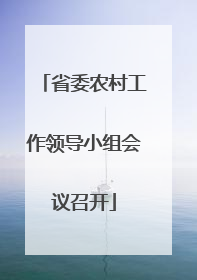 省委农村工作领导小组会议召开