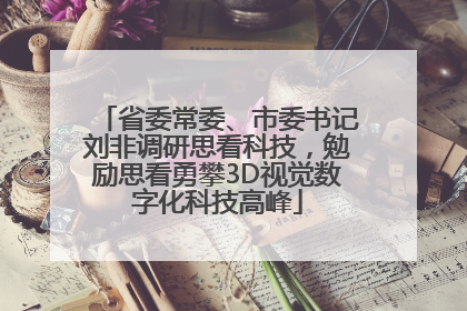 省委常委、市委书记刘非调研思看科技，勉励思看勇攀3D视觉数字化科技高峰