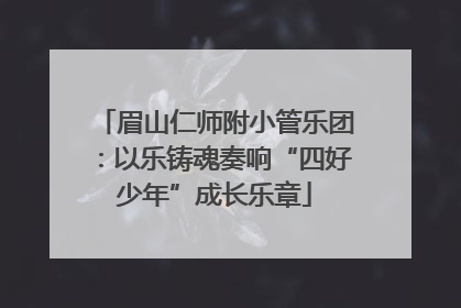 眉山仁师附小管乐团：以乐铸魂奏响“四好少年”成长乐章