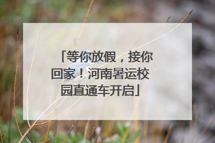等你放假，接你回家！河南暑运校园直通车开启