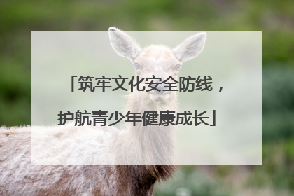 筑牢文化安全防线，护航青少年健康成长