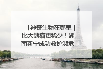 神奇生物在哪里｜比大熊猫更稀少！湖南新宁成功救护濒危鸟类海南鳽