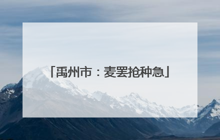 禹州市：麦罢抢种急