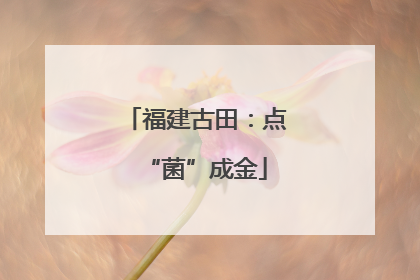 福建古田：点“菌”成金