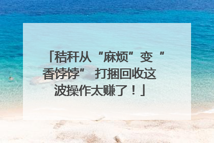 秸秆从“麻烦”变“香饽饽” 打捆回收这波操作太赚了！
