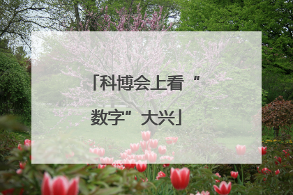 科博会上看“数字”大兴