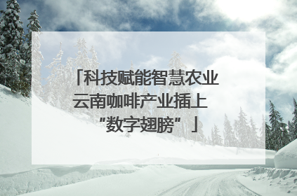 科技赋能智慧农业 云南咖啡产业插上“数字翅膀”
