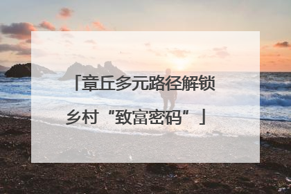 章丘多元路径解锁乡村“致富密码”