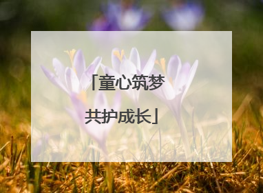 童心筑梦 共护成长