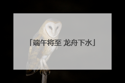 端午将至 龙舟下水