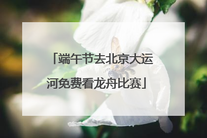 端午节去北京大运河免费看龙舟比赛
