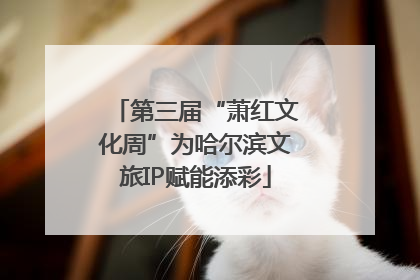 第三届“萧红文化周”为哈尔滨文旅IP赋能添彩
