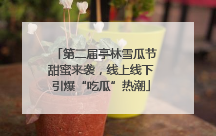 第二届亭林雪瓜节甜蜜来袭，线上线下引爆“吃瓜”热潮