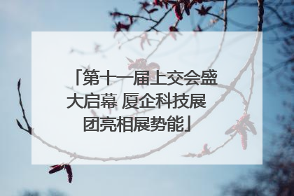 第十一届上交会盛大启幕 厦企科技展团亮相展势能
