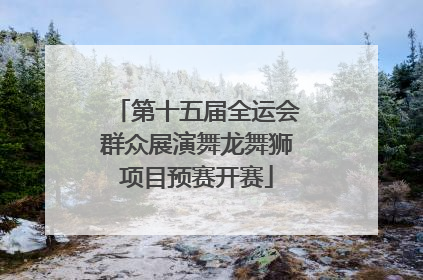第十五届全运会群众展演舞龙舞狮项目预赛开赛