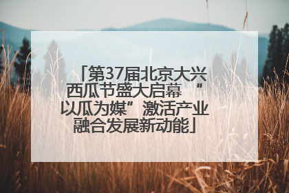 第37届北京大兴西瓜节盛大启幕 “以瓜为媒”激活产业融合发展新动能