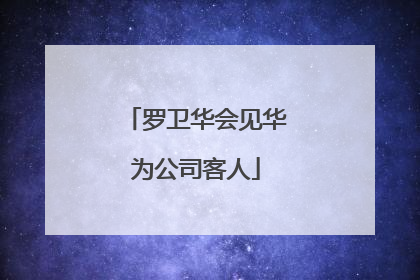 罗卫华会见华为公司客人