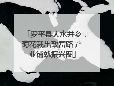罗平县大水井乡：菊花栽出致富路 产业铺就振兴图
