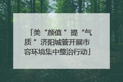 美“颜值 ”提“气质 ”济阳城管开展市容环境集中整治行动